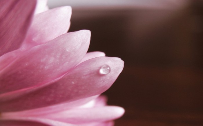 01263_lonely_1280x800 - Desktop Wallpapers