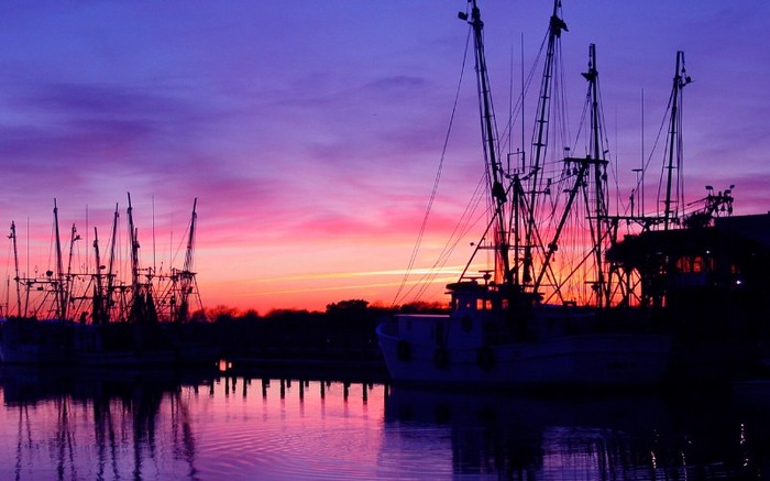 01271_onthedocksincharleston_1280x800 - Desktop Wallpapers