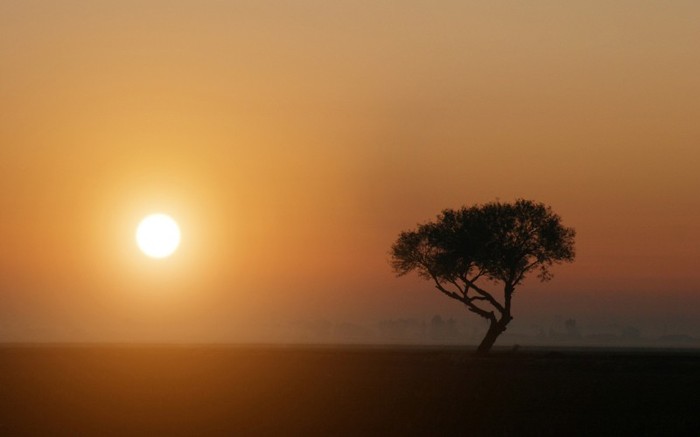 01277_californianfarmsunset_1280x800 - Desktop Wallpapers