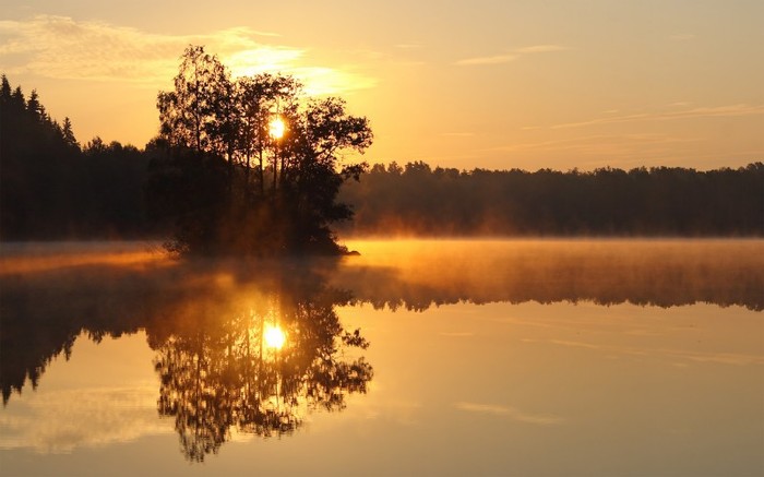 01366_alljungensweden_1280x800 - Desktop Wallpapers
