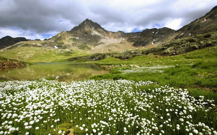 Landscapes 32