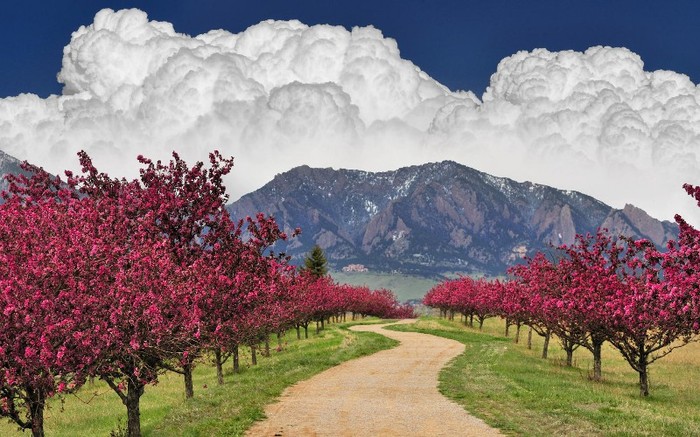 Landscapes 36
