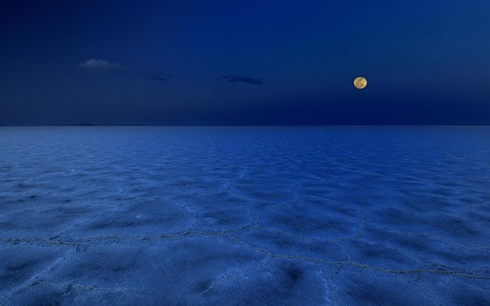 Landscapes 41