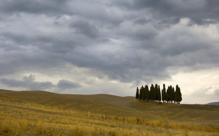 Landscapes 47