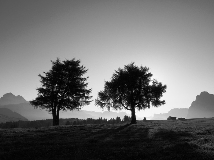 w1181 (6) - Desktop Wallpapers