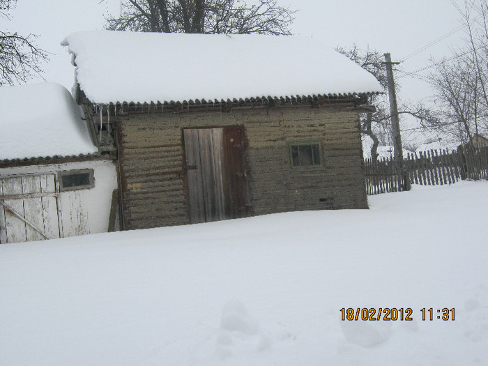 IMG_0888 - iarna 2012