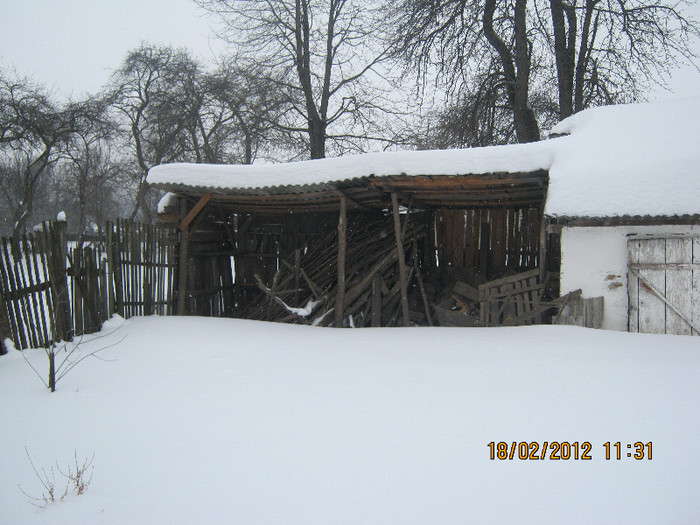 IMG_0890 - iarna 2012