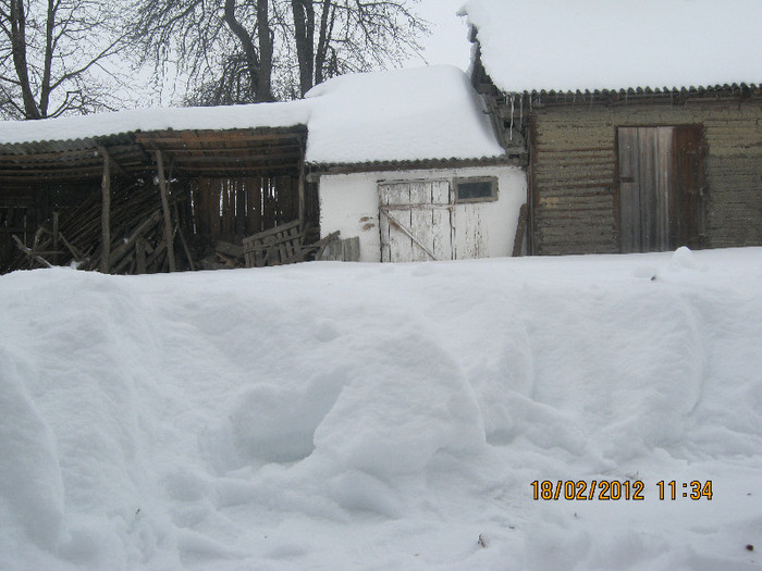 IMG_0893 - iarna 2012