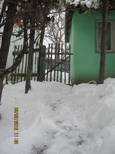 IMG_0896 - iarna 2012