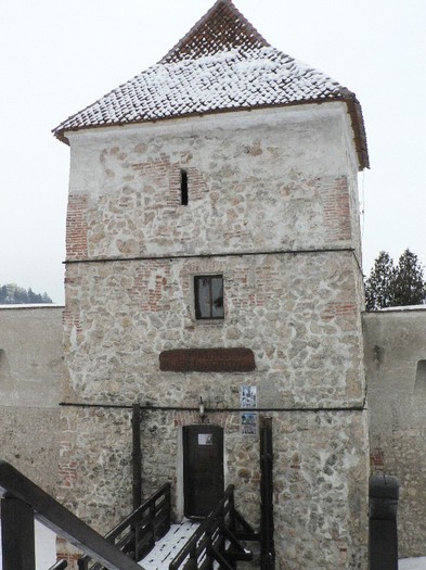 P1190269