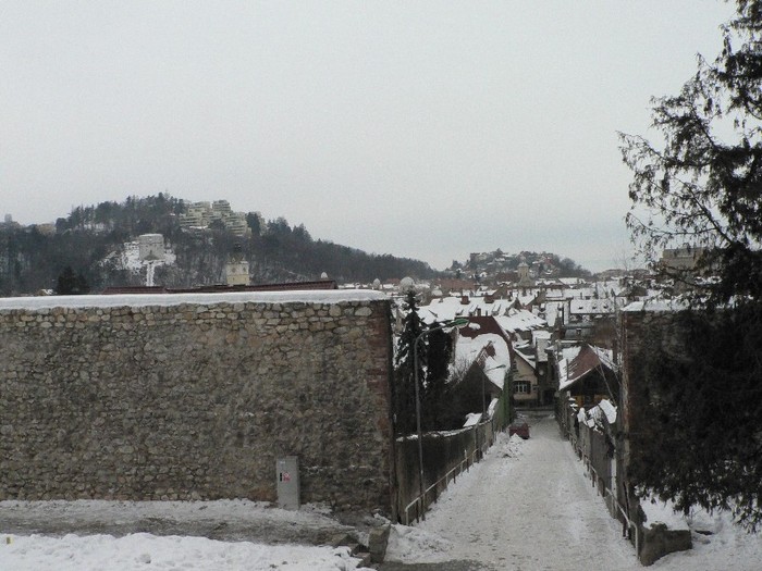 P1190279