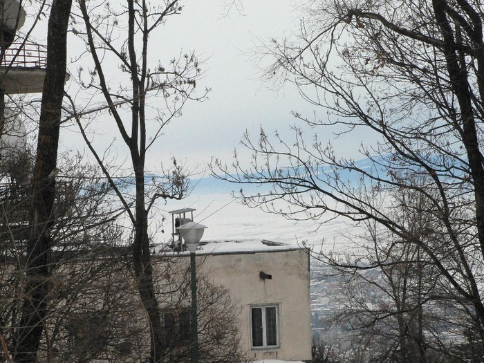 P1190324 - 2012 12 - 14 februarie - Aniversare