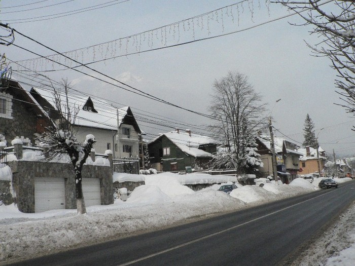 P1190565