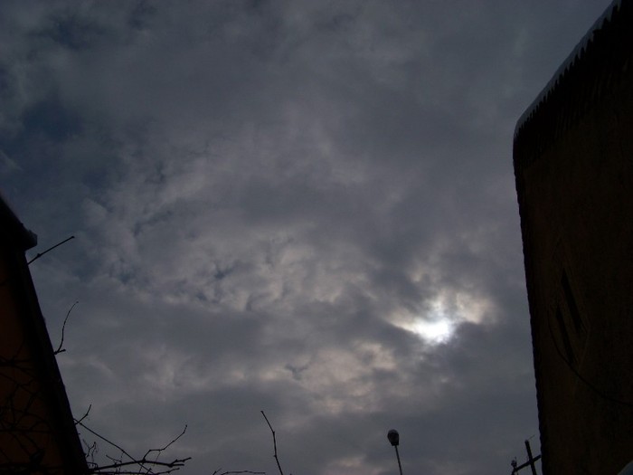 100_5616 februarie 18