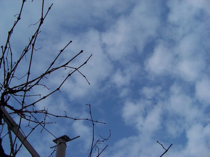 100_5644 - Februarie 2012