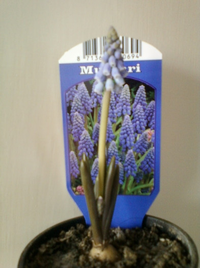 18 febr 2012 006