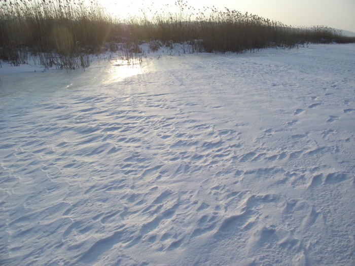 balta inghetata - somova delta dunarii foto