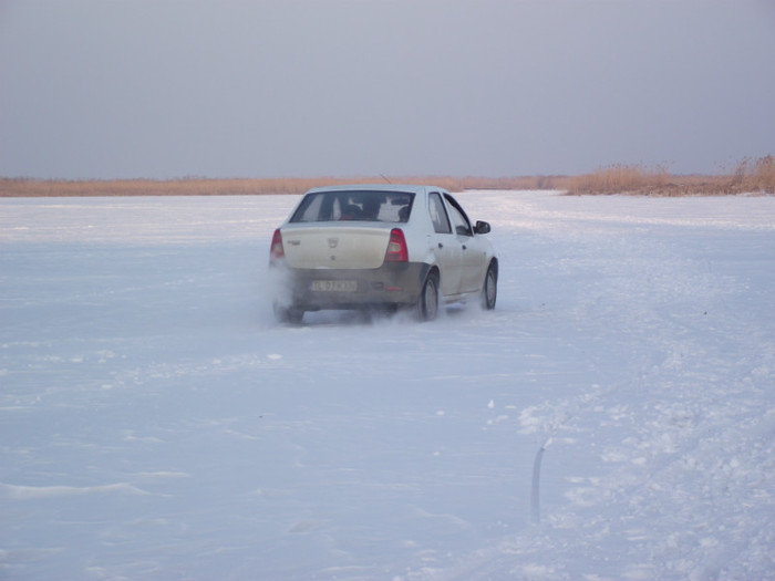 "drift-uri"pe balta - somova delta dunarii foto