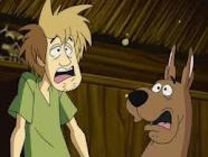 scooby 22 - scooby doo