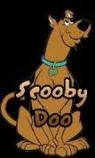scooby 24