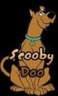 scooby 24 - scooby doo