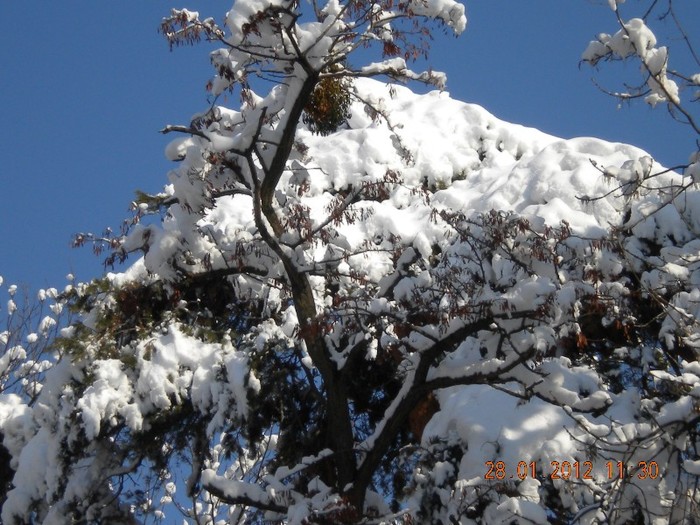  - iarna din feb 2012