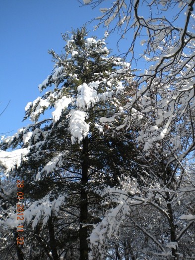  - iarna din feb 2012