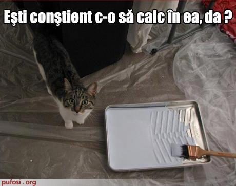 428639_263015070434554_100001781902621_607477_918474149_n - Chesti haioase