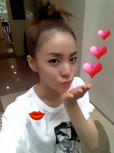 sandarapark - snpl