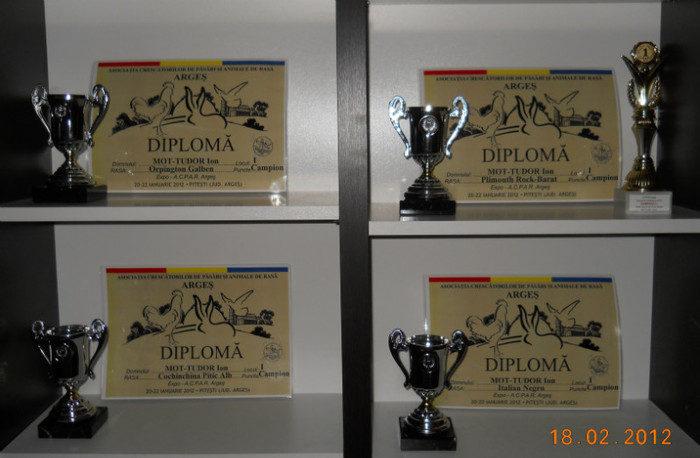 cupe si diplome