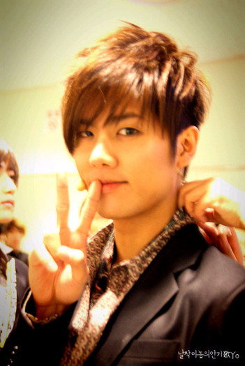 4a27b244_76c7e45c_user203788_pic49444_1228203422 - Kim Kyu Jong