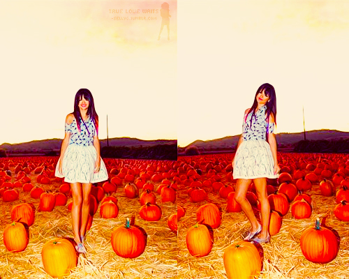 tumblr_lswv1hZvbo1r2hrs2o1_500