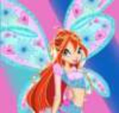 thumb (3) - winx bloom