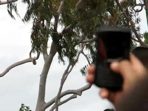 Selena Gomez & the Scene - Naturally Microsoft Store South Coast Plaza 269