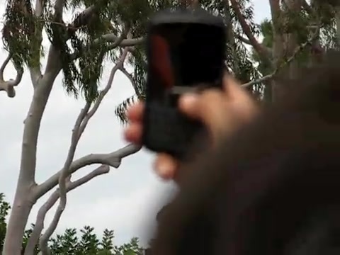 Selena Gomez & the Scene - Naturally Microsoft Store South Coast Plaza 270