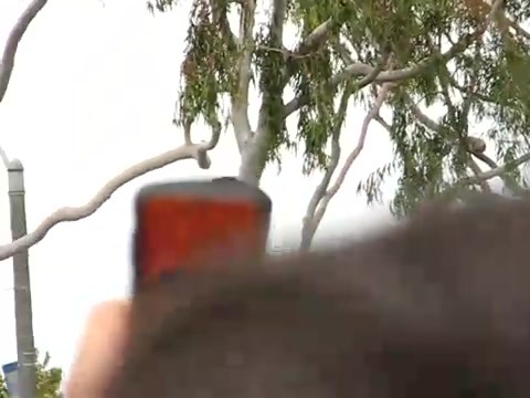 Selena Gomez & the Scene - Naturally Microsoft Store South Coast Plaza 349