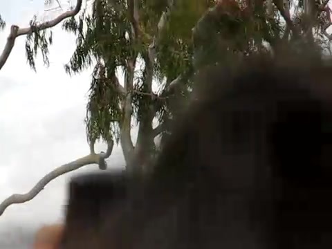 Selena Gomez & the Scene - Naturally Microsoft Store South Coast Plaza 374