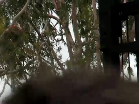 Selena Gomez & the Scene - Naturally Microsoft Store South Coast Plaza 375