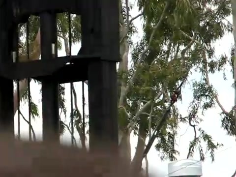 Selena Gomez & the Scene - Naturally Microsoft Store South Coast Plaza 376