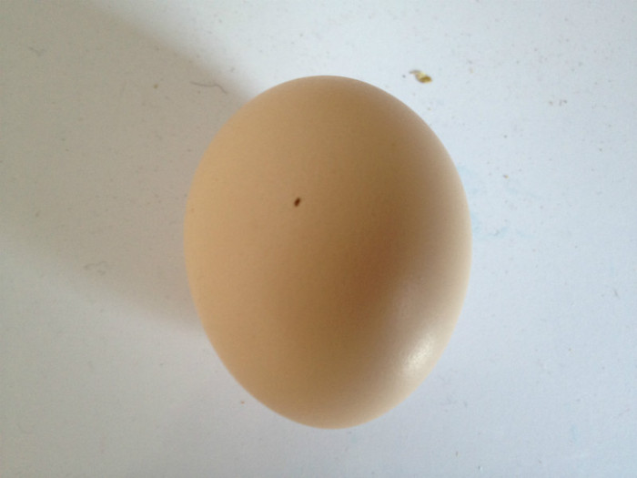 primul ou