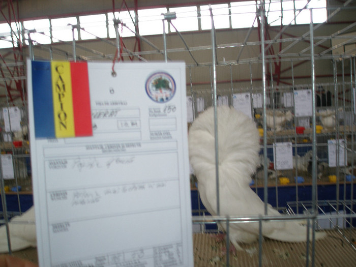 P1012738