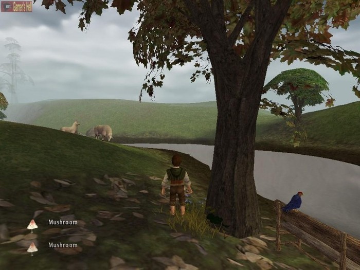 Stapanul Inelelor Fratia Inelului