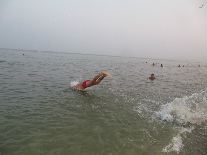IMG_8516 - La mare 2010