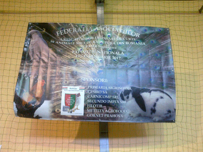 14012012745 - poze expo nationala sighisoara 2012