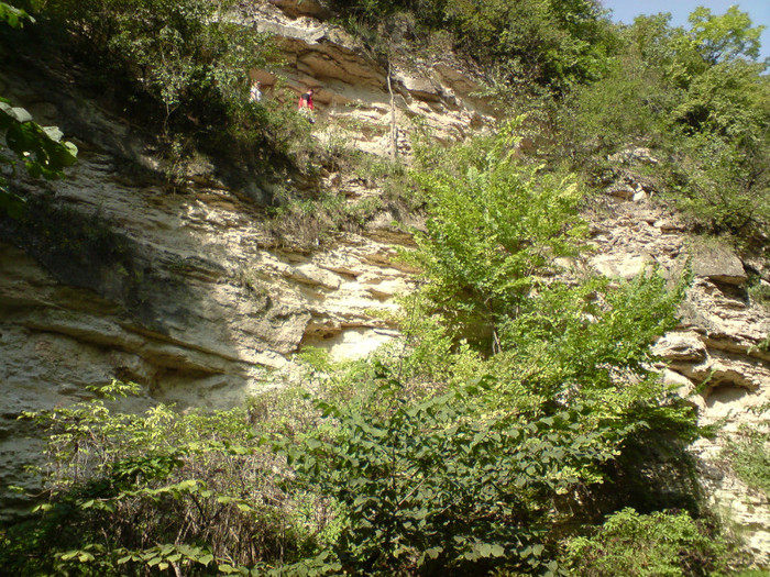 DSC00262 - La Saharna