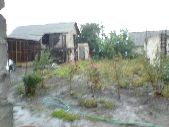 DSC00452 - La Saharna