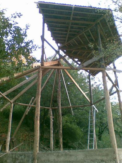 Image004. - Besetka din padure