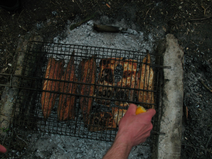 file 036 - Poze 20 04 2008