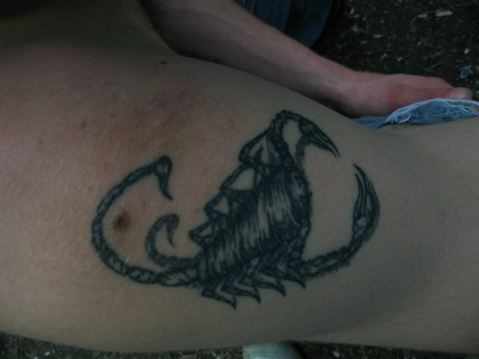 file 039 - Poze 20 04 2008