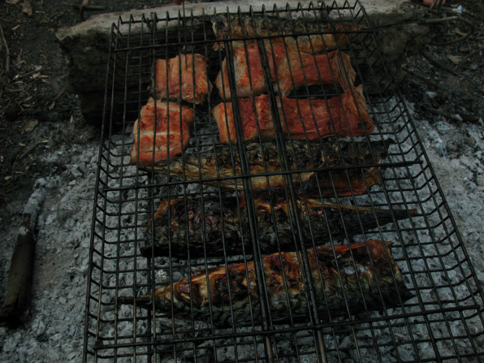 file 040 - Poze 20 04 2008